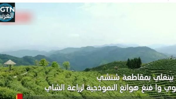 ياصور