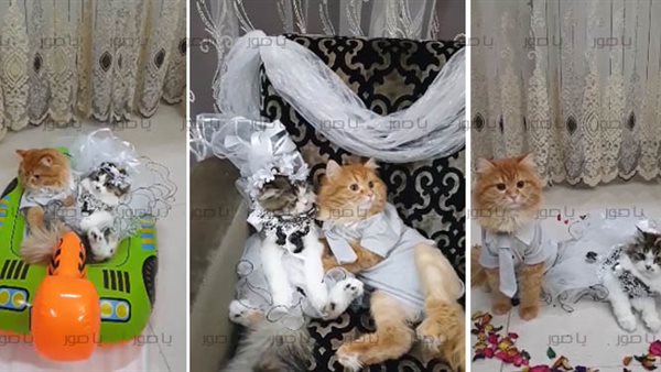 ياصور