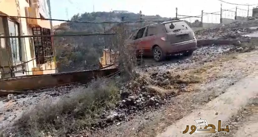 أضرار غارة النبطية