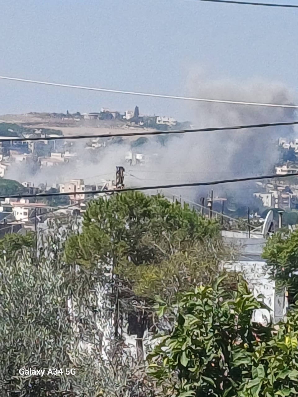 النبطية