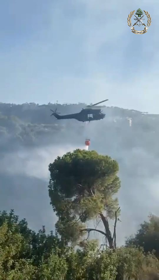وحدات الجيش 2