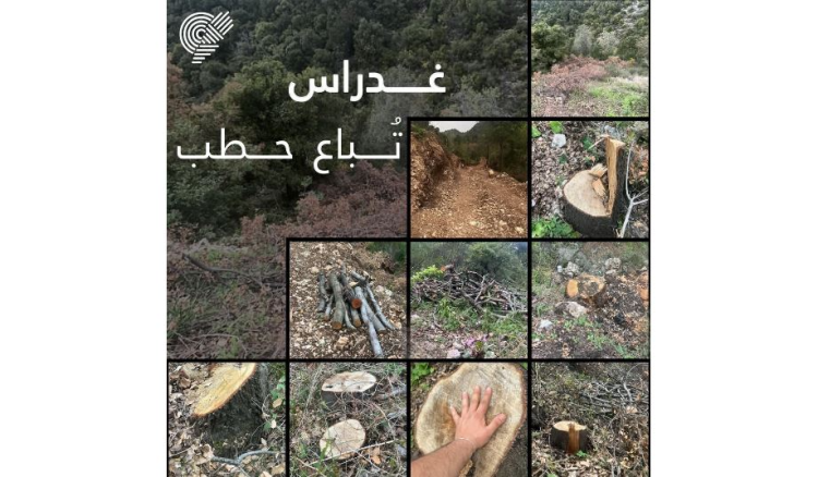 كارثة بيئية جديدة في بلدة غدراس