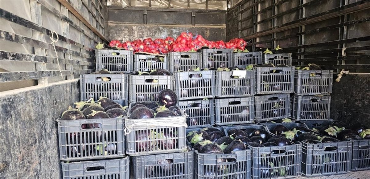 بالصور: ضبط بضائع مهربة في منطقة لبنانية