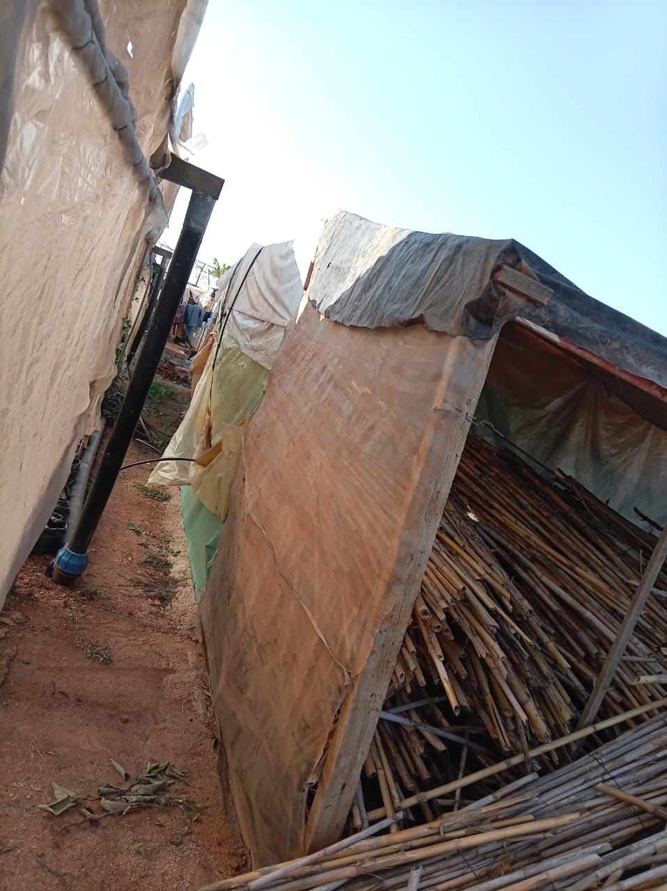 مصلحة الليطاني: تنفيذ أعمال إزالة تجمع من خيم النازحين السوريين