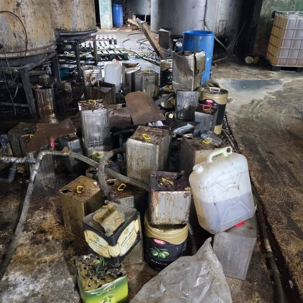 بالصور: يفتقر إلى شروط النظافة... دهم معمل لإنتاج وتكرير زيت الزيتون! بالصور: يفتقر إلى شروط النظافة... دهم معمل لإنتاج وتكرير زيت الزيتون!