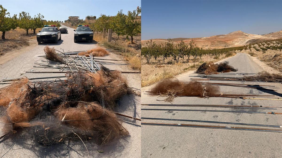 بالصور: قوى الأمن تمنع مجازر بيئية بحق آلاف الطيور بالصور: قوى الأمن تمنع مجازر بيئية بحق آلاف الطيور