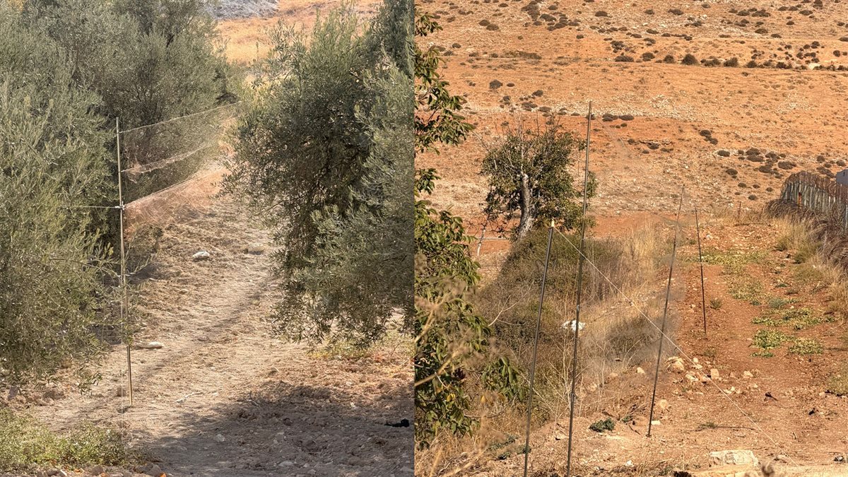 بالصور: قوى الأمن تمنع مجازر بيئية بحق آلاف الطيور بالصور: قوى الأمن تمنع مجازر بيئية بحق آلاف الطيور