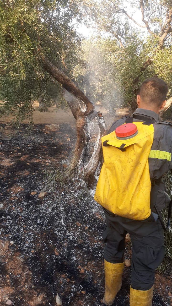 الدفاع المدني يخمد سلسلة حرائق اندلعت في مختلف المناطق اللبنانية