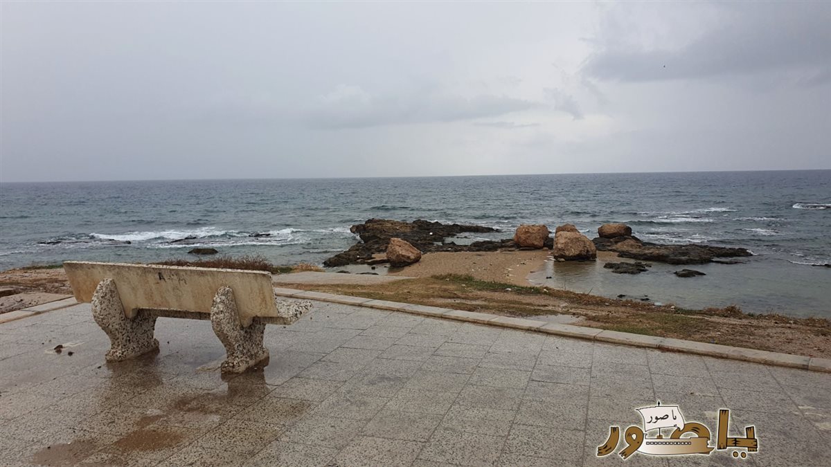 بالصور: أجواء الشتوة الأولى لهذا الموسم في مدينة صور