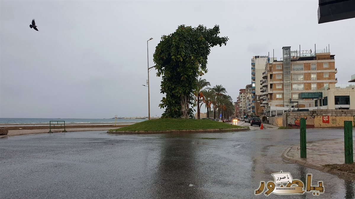 بالصور: أجواء الشتوة الأولى لهذا الموسم في مدينة صور