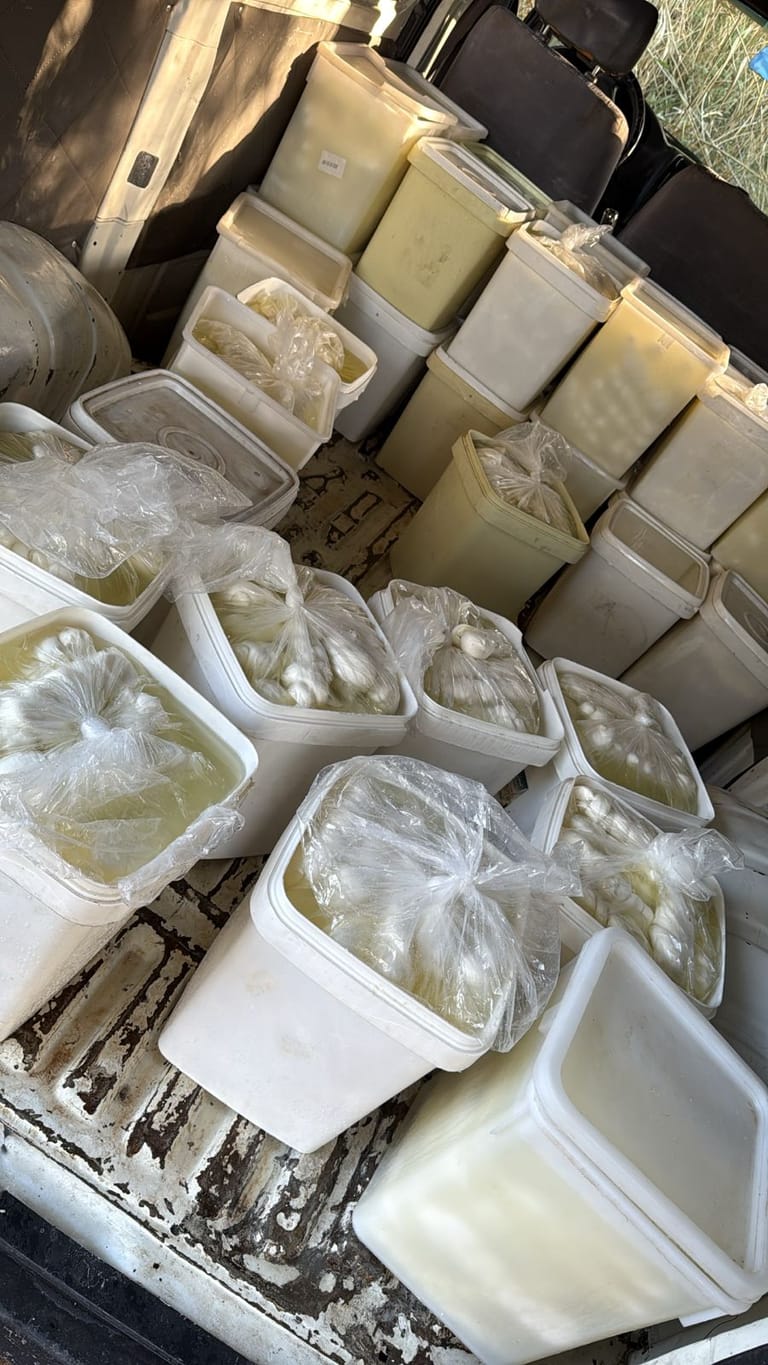 جنوبا: ضبط أجبان سورية مهربة! (صورة)