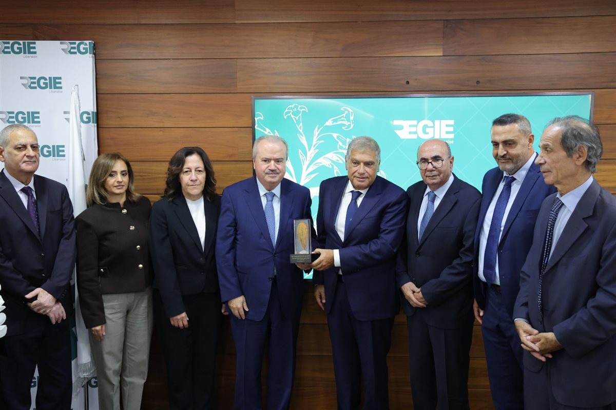 جابر خلال افتتاحه مشروع محطة الطاقة الهجينة في الريجي: الدولة بكامل أركانها مصممة على برنامج شفاف مع صندوق النقد