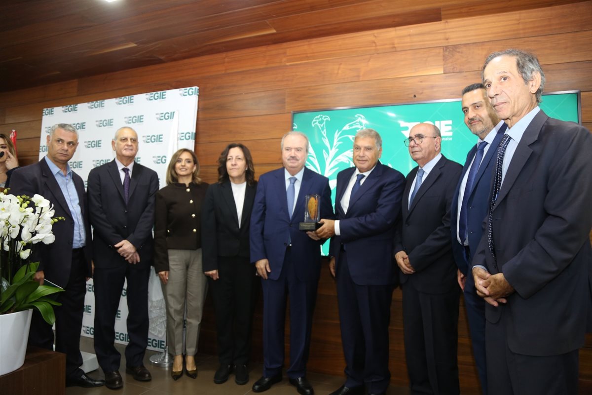 جابر خلال افتتاحه مشروع محطة الطاقة الهجينة في الريجي: الدولة بكامل أركانها مصممة على برنامج شفاف مع صندوق النقد