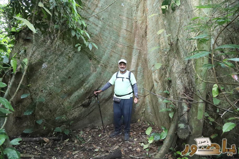 بمناسبة عيد الإستقلال الـ٨٢: الجامعة اللبنانية الثقافية في أبيدجان تجمع بين الرياضة والعمل البيئي