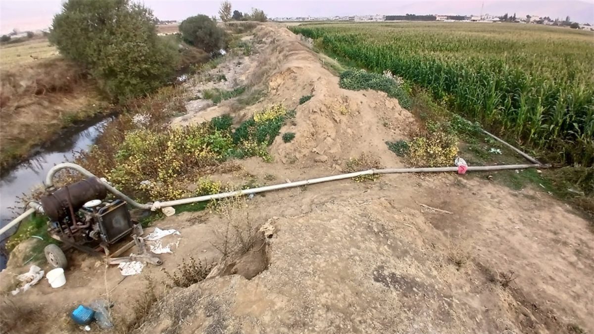 منع كارثة غذائية: ضبط ري بالمياه المبتذلة وتوقيف المتورطين