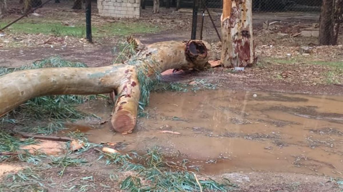 جنوبا: جريمة بيئية حصلت ليلا! (صور)