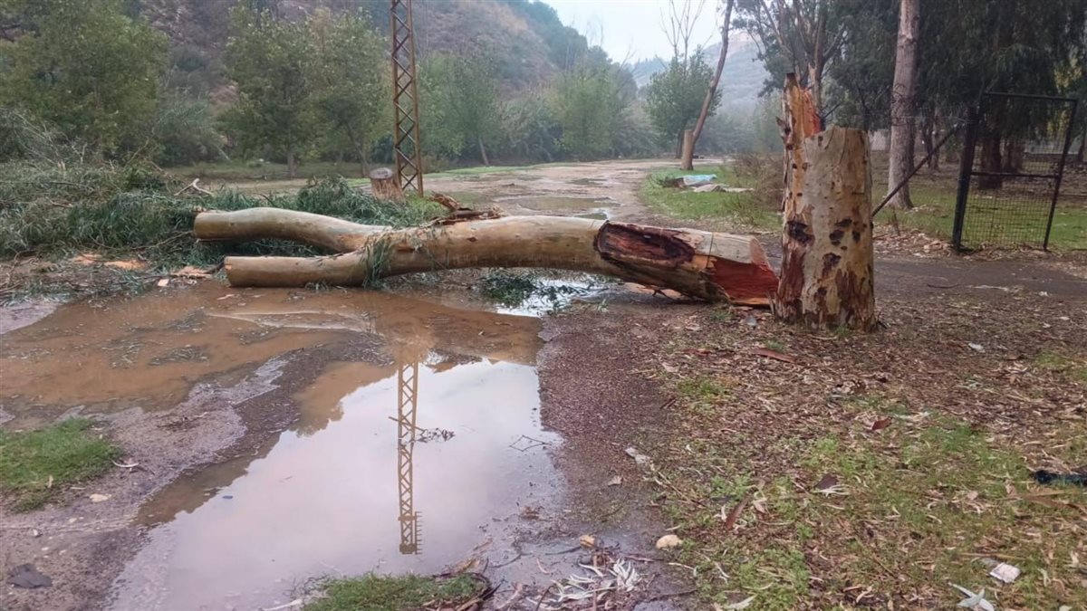 جنوبا: جريمة بيئية حصلت ليلا! (صور)