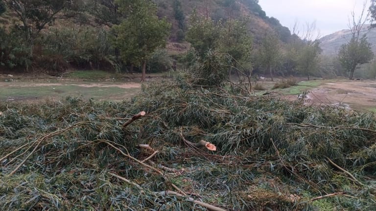 جنوبا: جريمة بيئية حصلت ليلا! (صور)