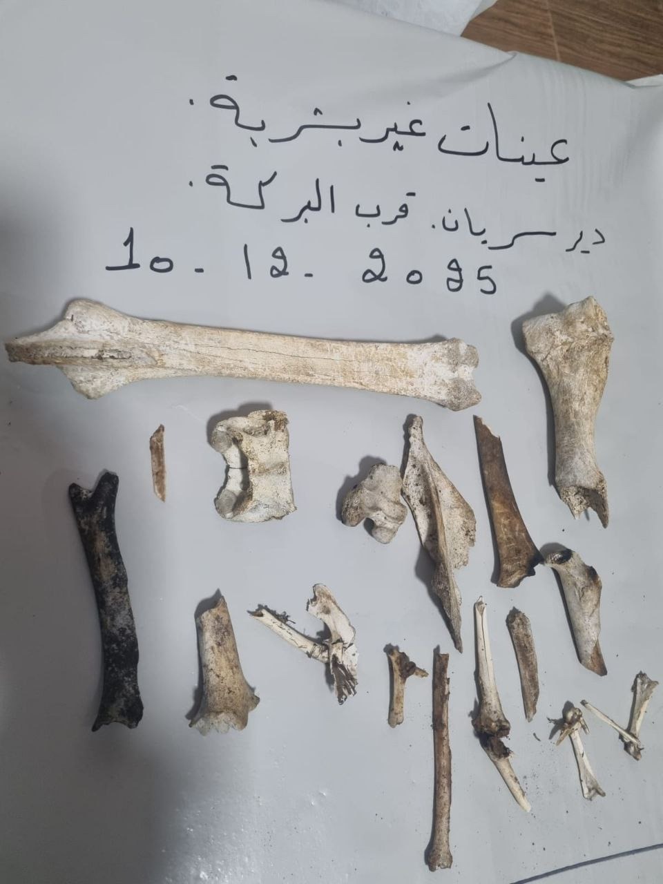 بعد الضجة الاعلامية حولها ... الفحوصات المخبرية تؤكد: العظام التي عثر عليها في دير سريان غير بشرية