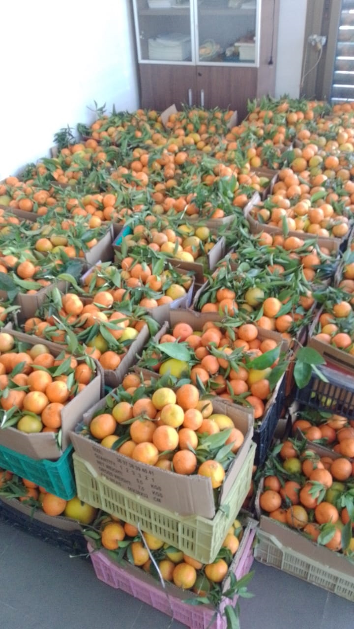 هبة جديدة من المهندس ناصيف سقلاوي إلى صيادي الأسماك في صور