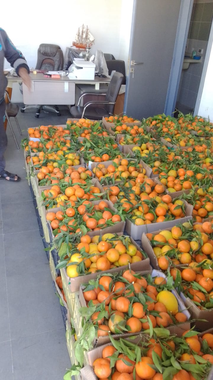 هبة جديدة من المهندس ناصيف سقلاوي إلى صيادي الأسماك في صور