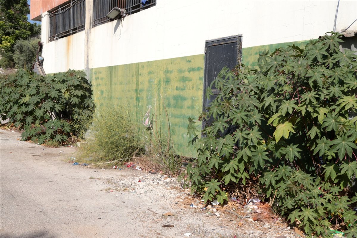 فرصة استثمارية هامة في منطقة العباسية