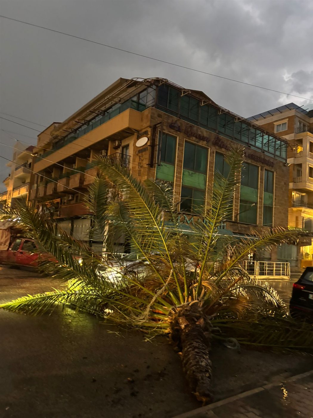 سقوط شجرة نخل كبيرة عند الكورنيش الجنوبي لمدينة صور