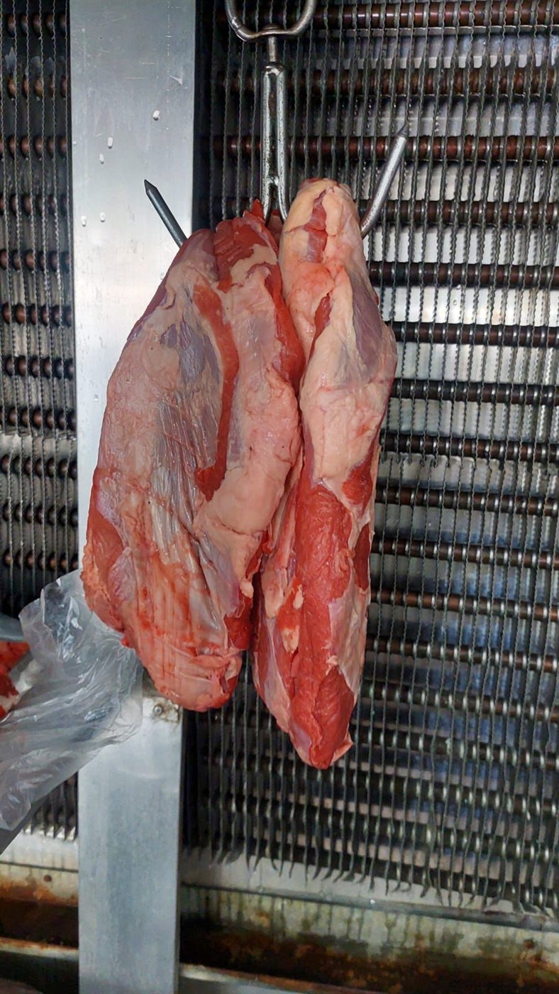 جنوبا: جولات تفتيشية.. إنذارات خطية ومحاضر ضبط بحق مخالفين! (صور)