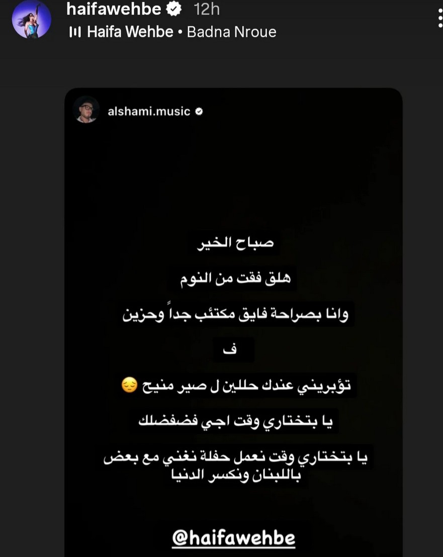 بعد الرسالة التي وجهها لها.. هيفا وهبي ترد على الشامي: لا بدنا نروق (صورة)