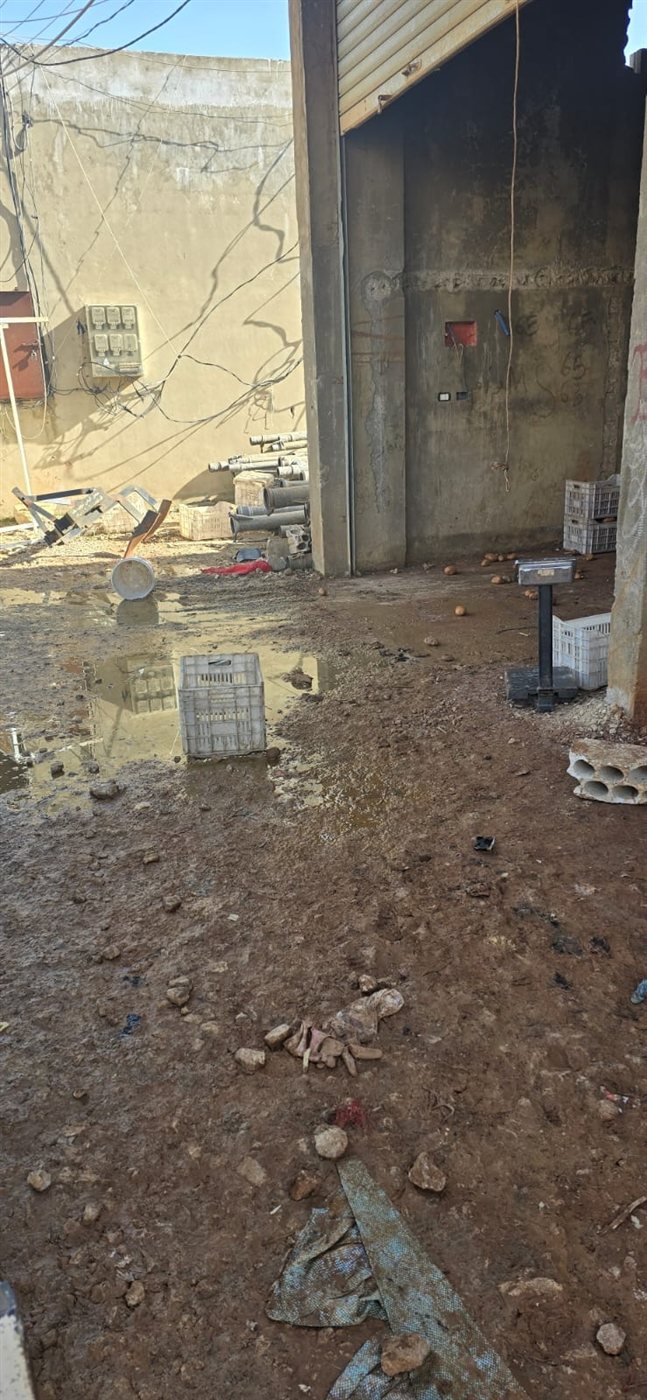 بالصور: ثوم فاسد صنع في خيم النازحين السوريين!