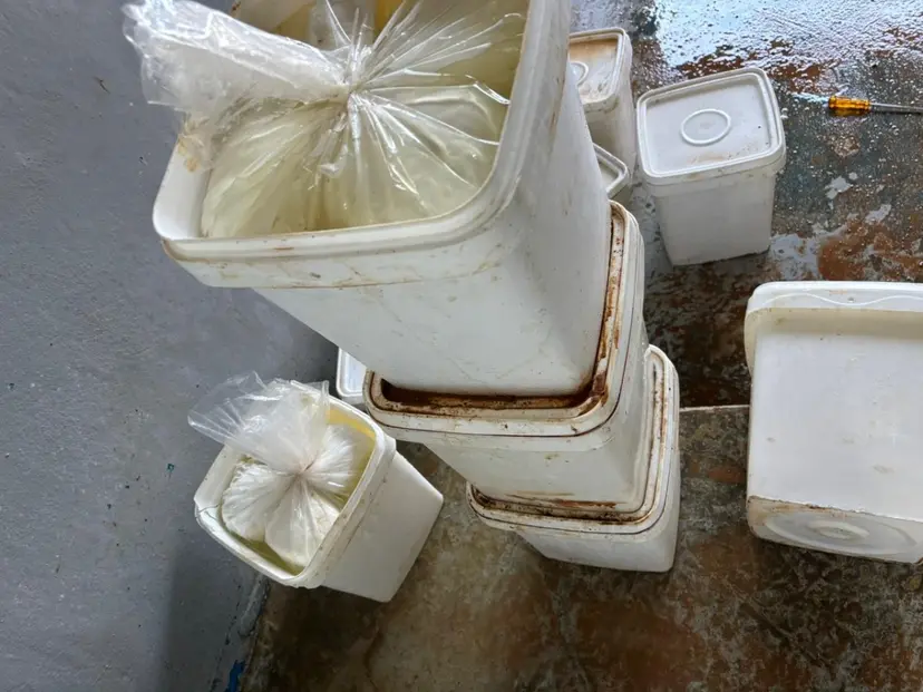 بالصور: الجمارك تضبط أكثر من 3 أطنان من الأجبان الملوثة