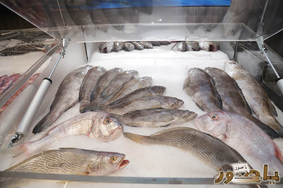 مطعم الذوات بحلته الجديدة مذاق لبناني أصيل في أبيدجان