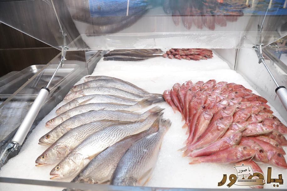 مطعم الذوات بحلته الجديدة مذاق لبناني أصيل في أبيدجان