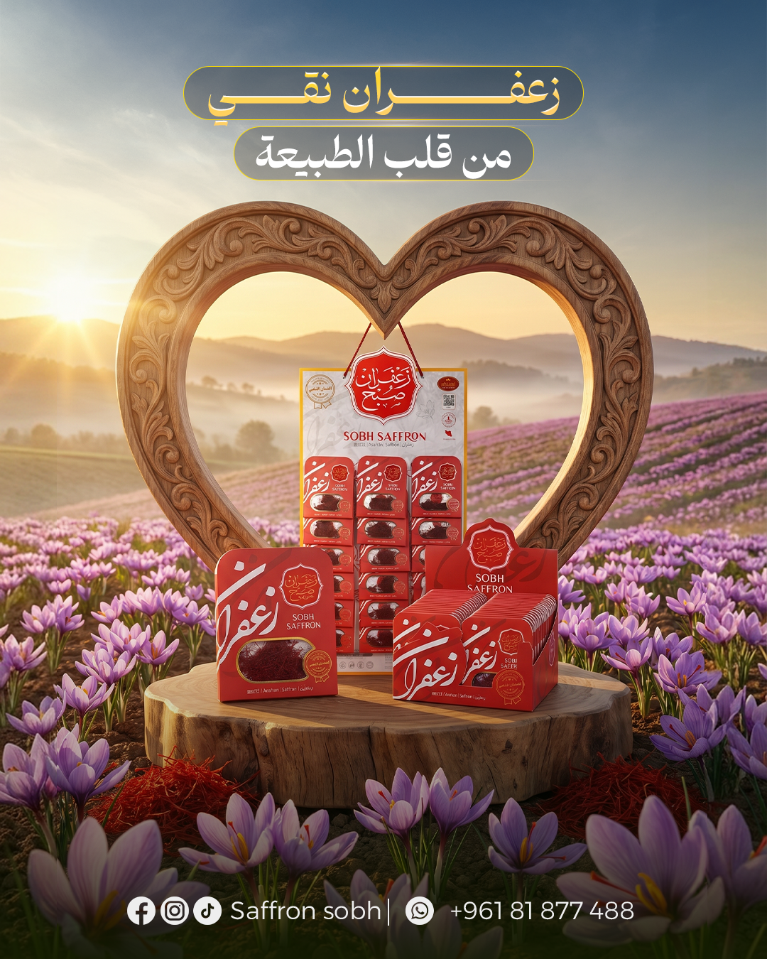  الزعفران الملكي 