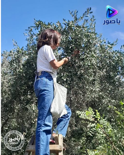 حليمة قعقور تنشر صورتها في موسم قطاف الزيتون