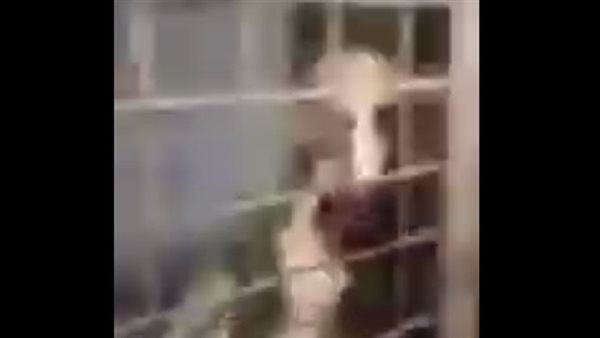 ياصور