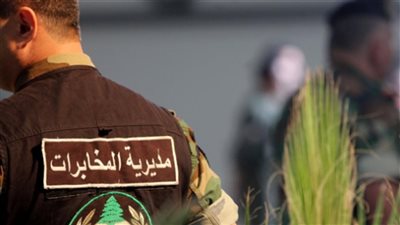 الجيش يلاحق المخلين بالأمن ويوقف أربعة متورطين بالسرقة والمخدرات