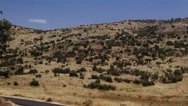 الصورة تعبيرية