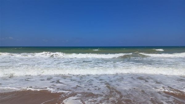 ياصور