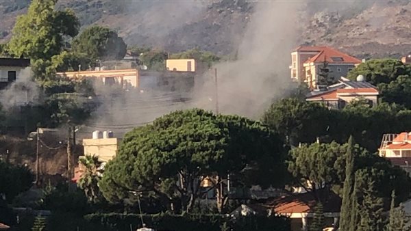 ارشيفية