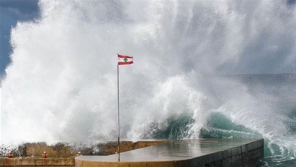ارشيفية