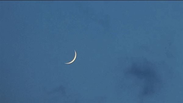 ياصور