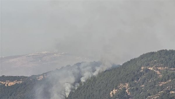 ارشيفية