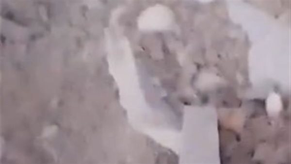 ياصور