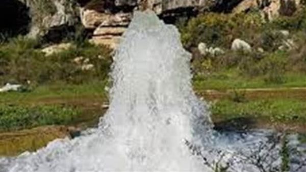 ياصور