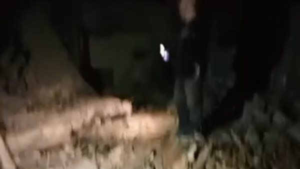 أرشيفية