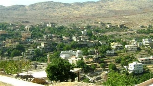 ارشيفية