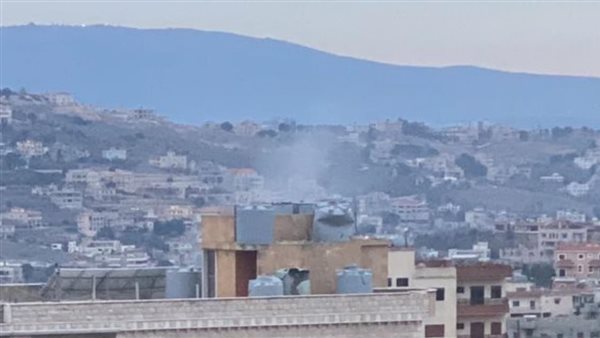 ارشيفية