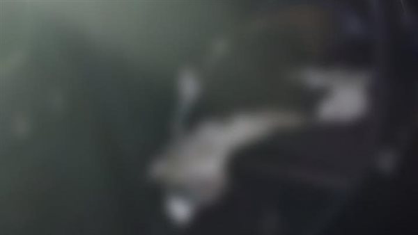 ياصور