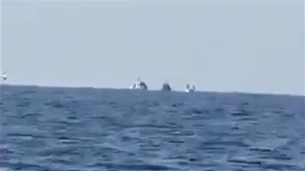 ياصور